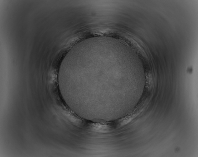 X0000100330284200806191115