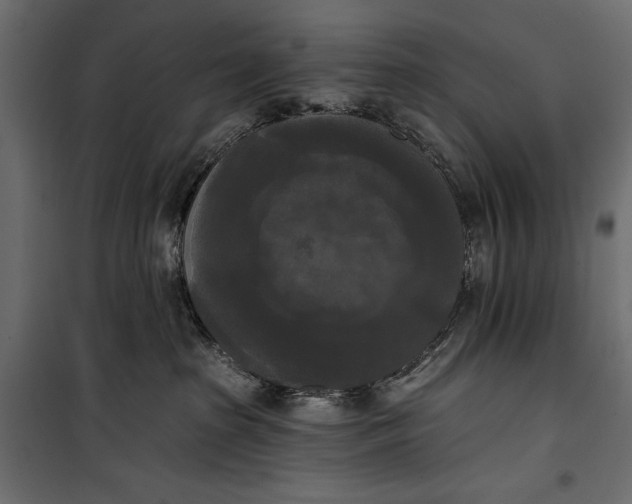 X0000100330285200806191115