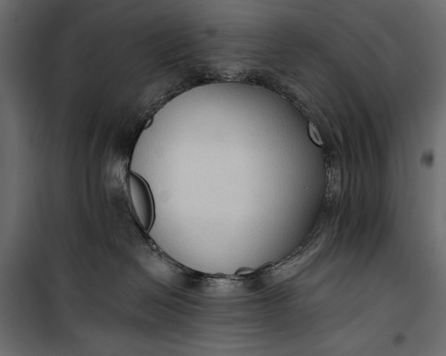 X0000100330286200806191115