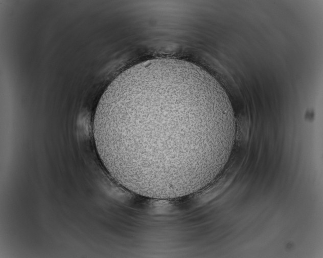 X0000100330287200806191115