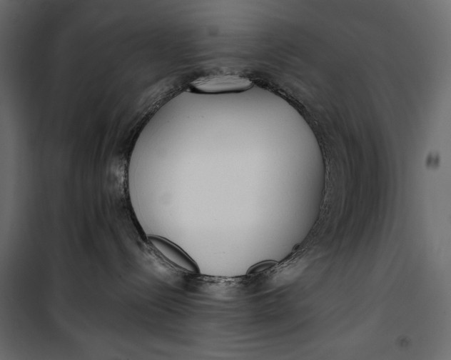 X0000100330288200806191115