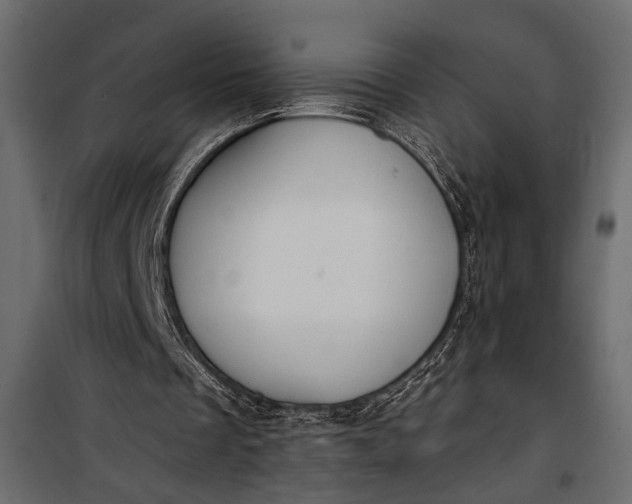 X0000100330289200806191114