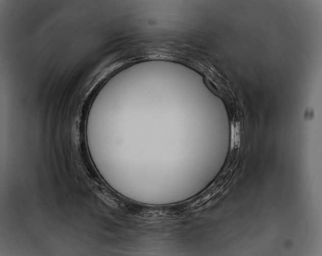 X0000100330291200806191114