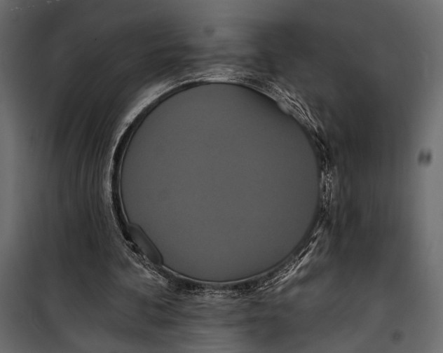 X0000100330292200806191114