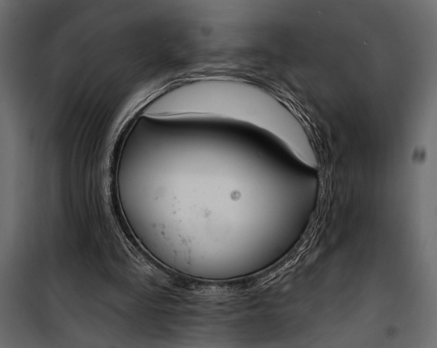 X0000100330293200806191114