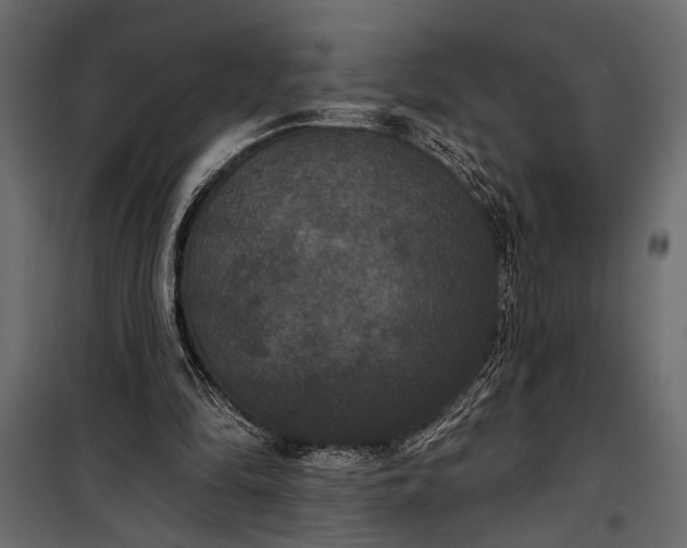 X0000100330294200806191114