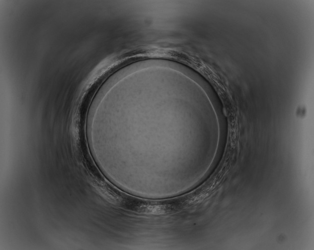 X0000100330295200806191114