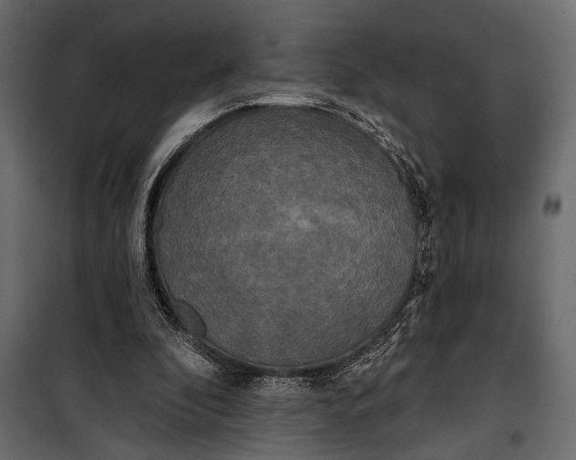 X0000100330296200806191114