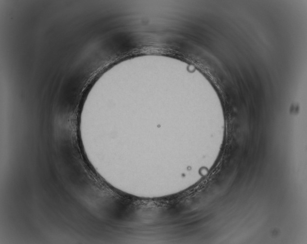 X0000100330297200806191114