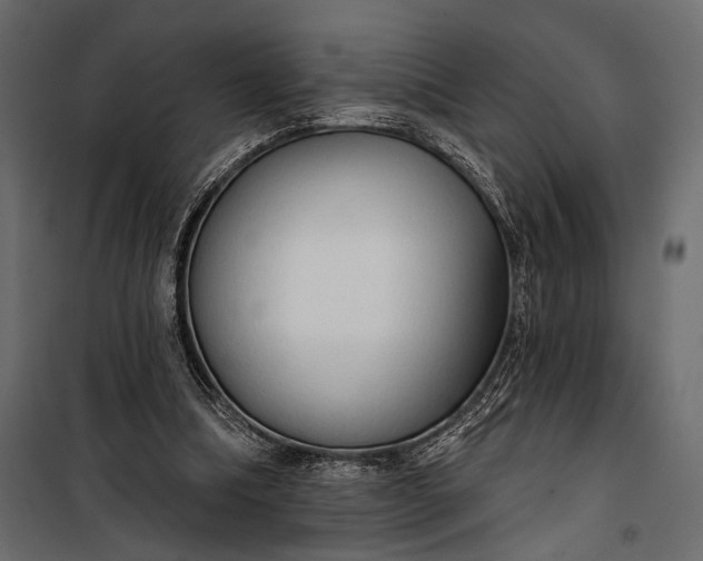 X0000100330298200806191114