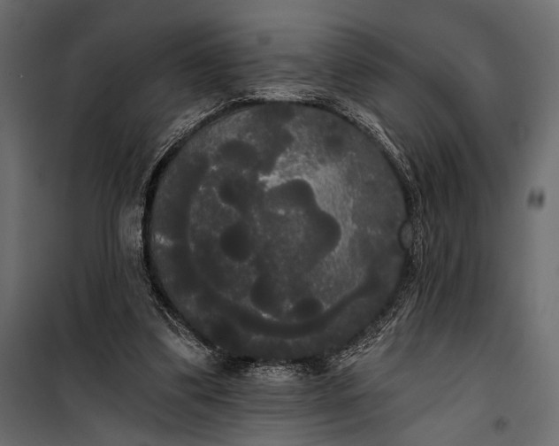 X0000100330299200806191114