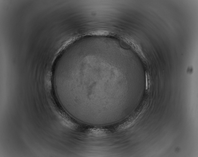 X0000100330300200806191114