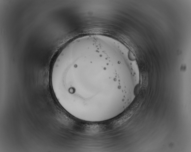 X0000100330301200806191114