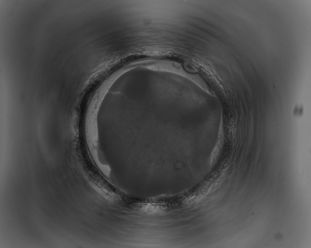 X0000100330303200806191114