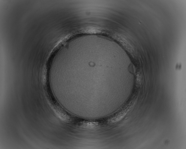 X0000100330304200806191114