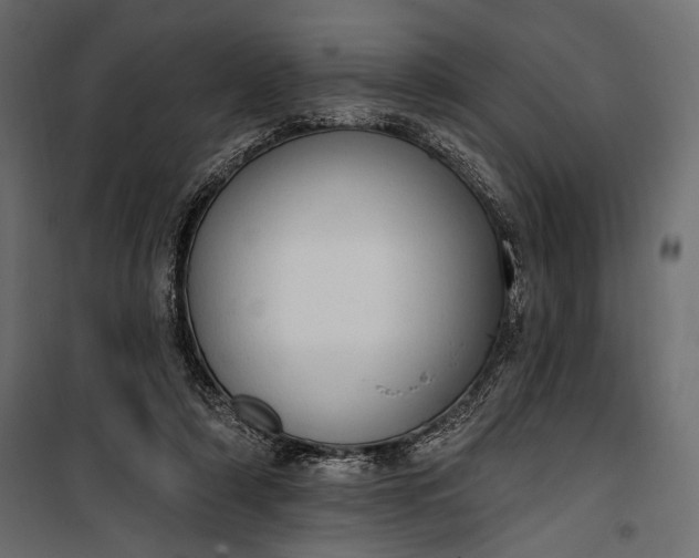 X0000100330306200806191114