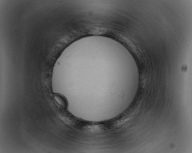 X0000100330307200806191114