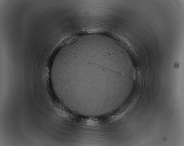 X0000100330308200806191114