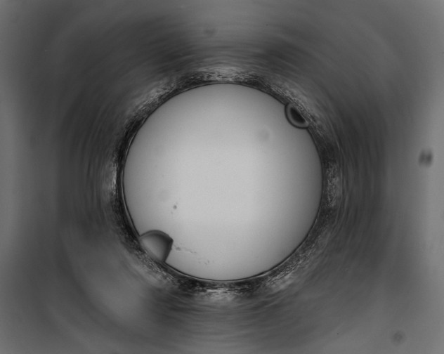 X0000100330310200806191114