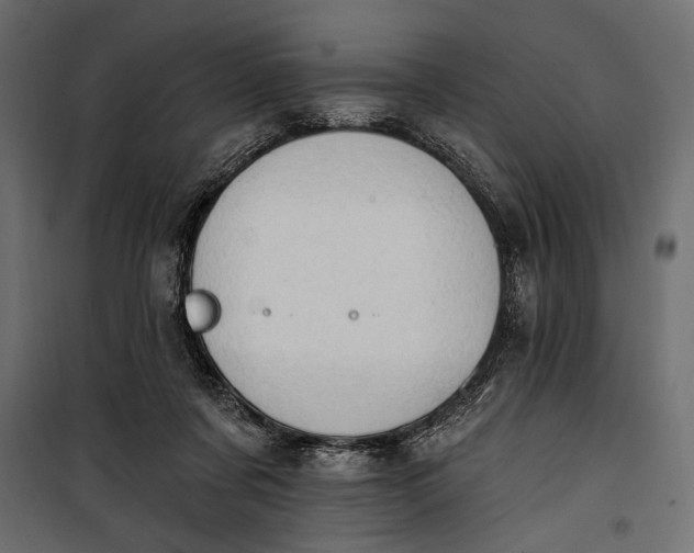 X0000100330311200806191114