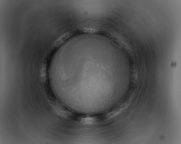 X0000100330312200806191114