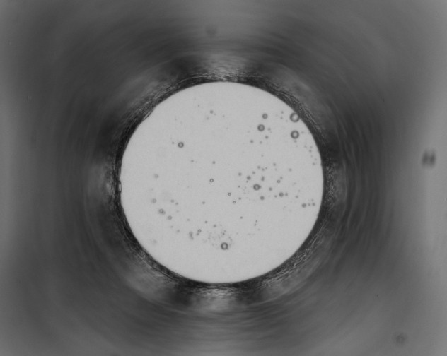 X0000100330313200806191114