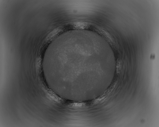 X0000100330314200806191114