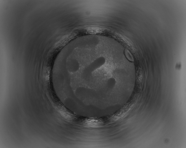 X0000100330315200806191114