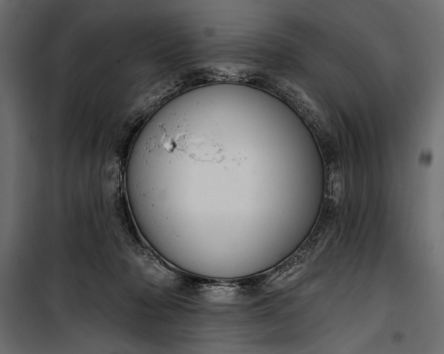 X0000100330318200806191114