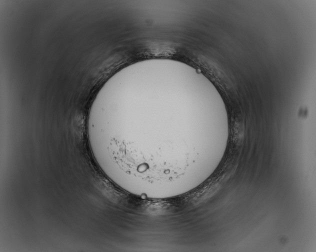 X0000100330321200806191114