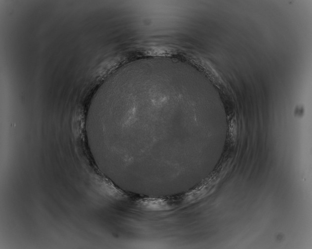 X0000100330322200806191114