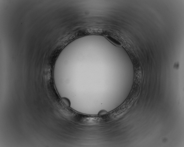 X0000100330323200806191114