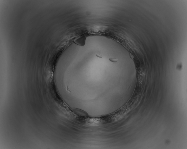 X0000100330324200806191114