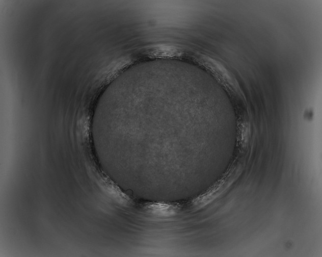 X0000100330326200806191114