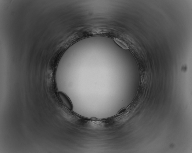 X0000100330327200806191114