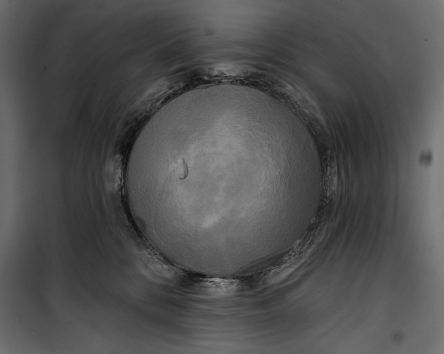 X0000100330328200806191114