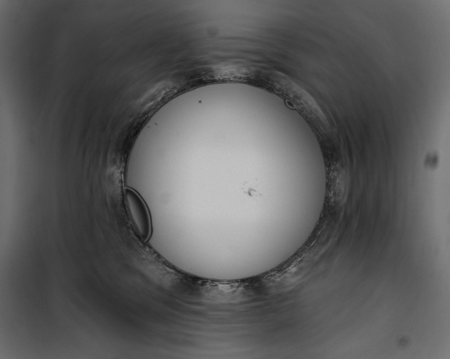 X0000100330329200806191114