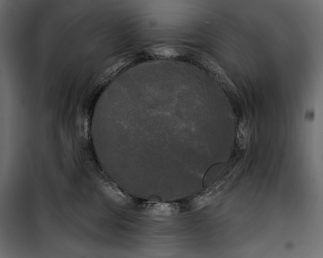 X0000100330330200806191114