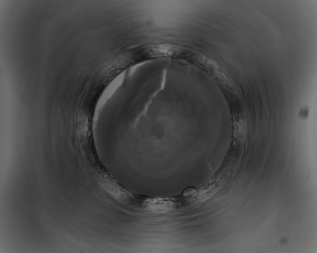 X0000100330331200806191114