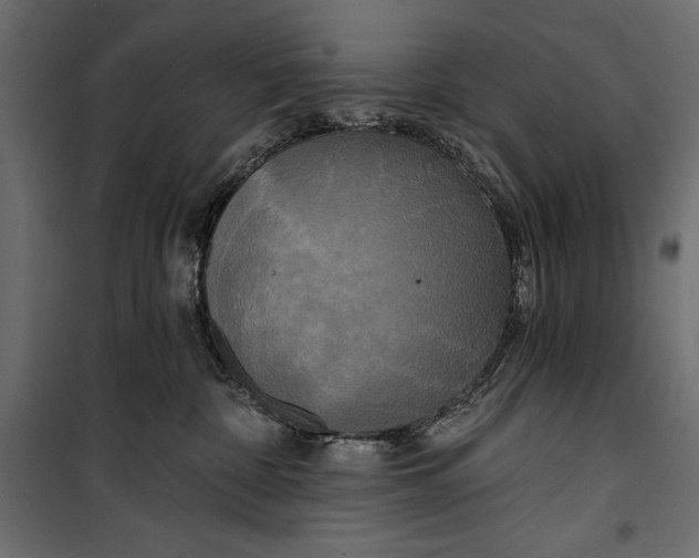 X0000100330332200806191114