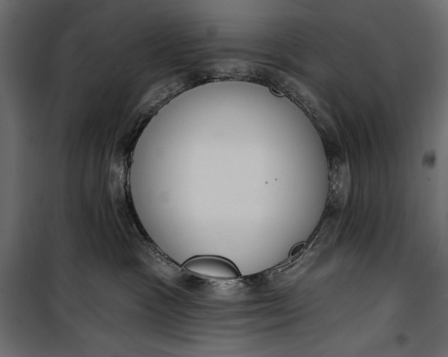 X0000100330333200806191114