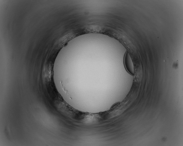 X0000100330334200806191114