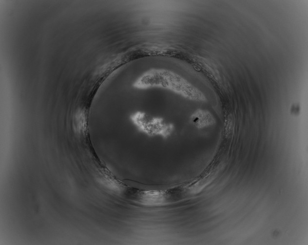 X0000100330335200806191114