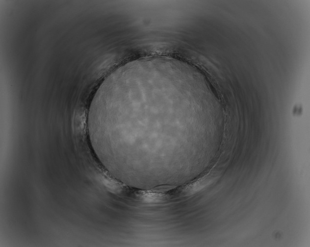 X0000100330336200806191114