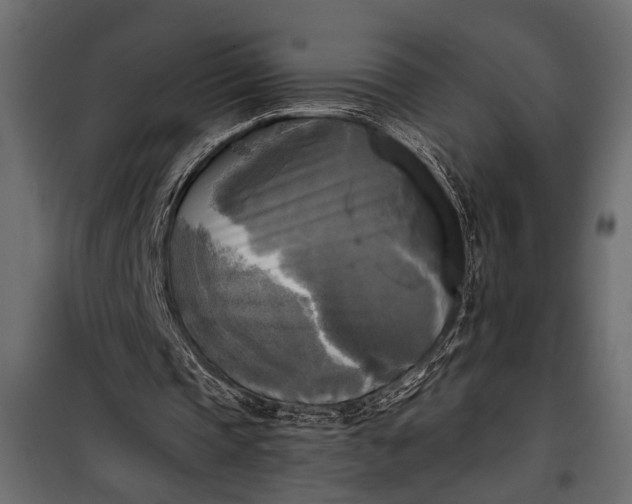 X0000100330337200806191113