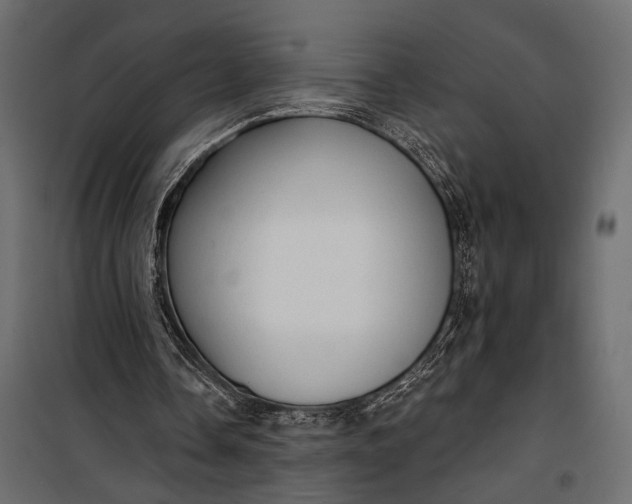 X0000100330338200806191113