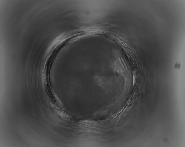 X0000100330339200806191113