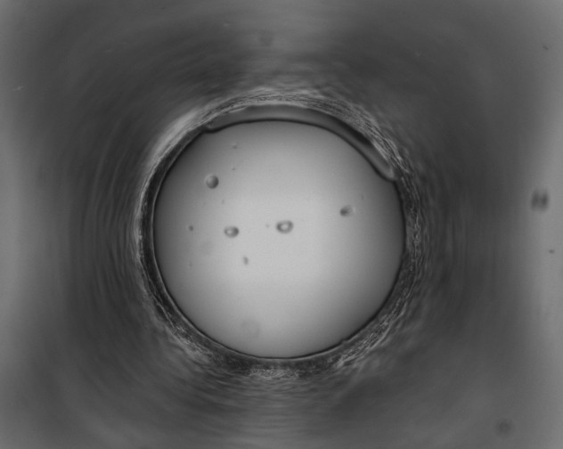 X0000100330340200806191113