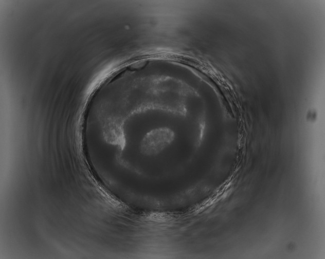 X0000100330341200806191113