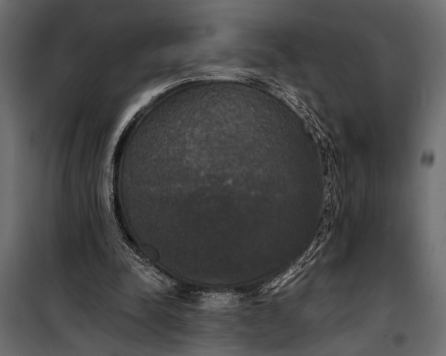 X0000100330342200806191113